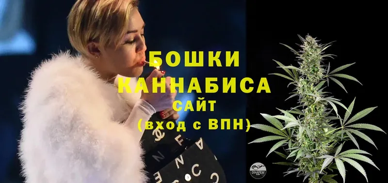 omg сайт  Порхов  Шишки марихуана Amnesia 